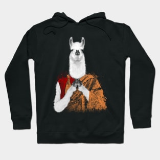 Dalai Lama Hoodie